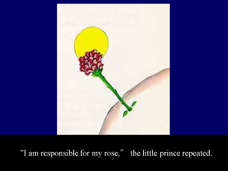 “I am responsible for my rose,” the little prince repeated.